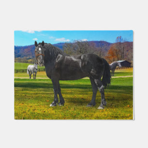 Paillasson Doormat "Big Sam"