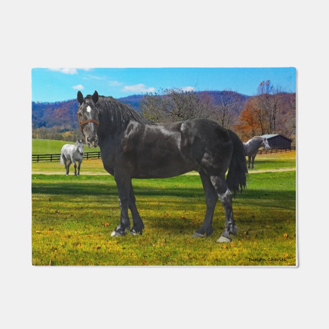 Paillasson Doormat "Big Sam" (Devant)