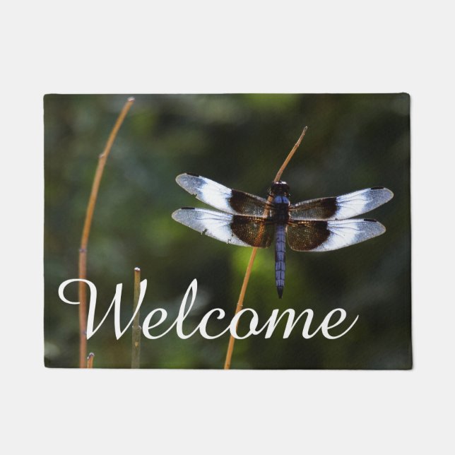 Paillasson Dragonfly de la veuve masculine (Devant)