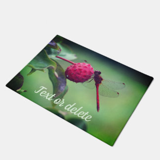 Paillasson Dragonfly rouge sur le fruit de bois de chien Pers