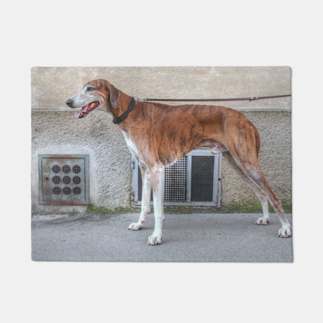 Paillasson Elder Brindle Greyhound (Devant)