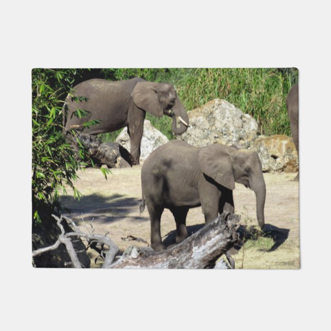 Paillasson Eléphant - mat de porte (Devant)