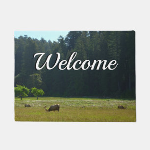 Paillasson Elk Meadow at Redwood National Park