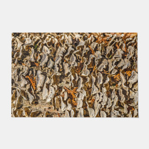 Paillasson Fascination avec les champignons