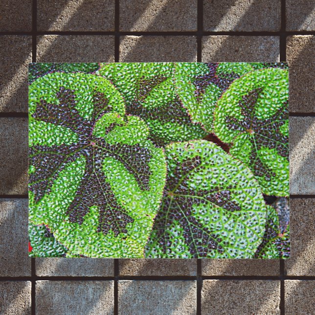 Paillasson Fer Cross Begonia Floral (In Situ)