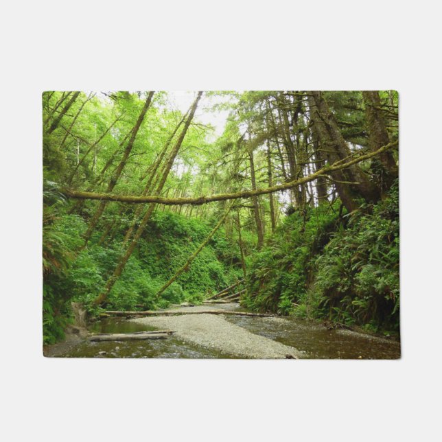 Paillasson Fern Canyon I au Redwood National Park (Devant)