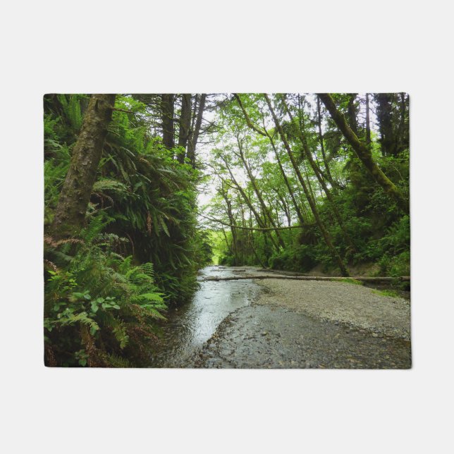 Paillasson Fern Canyon II au parc national Redwood (Devant)