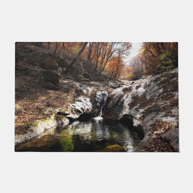 Paillasson Feuillage d'automne et feuillage de plancher de ca (Devant)