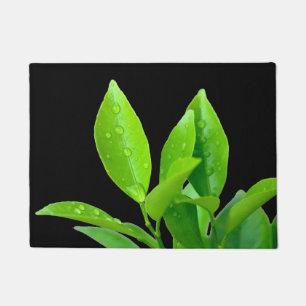 Paillasson Feuille vert frais avec Waterdrops sur le noir