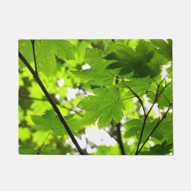 Paillasson Feuilles d'érable avec Raindrops (Devant)