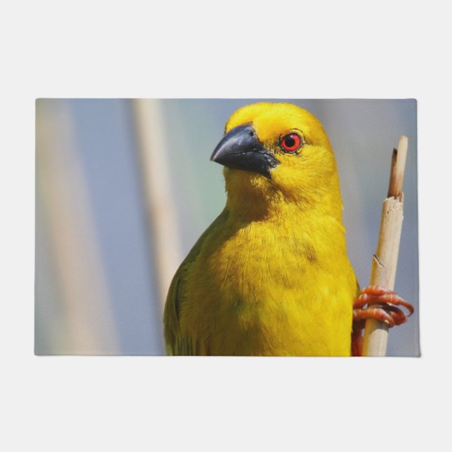 Paillasson Finch jaune (Devant)
