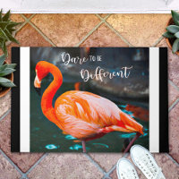Flamant rose rose Oser être différent Citation Scr