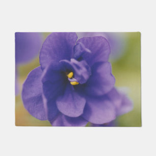 Paillasson Fleur de fleurs bleues de Violet Saintpaulia Zoomé