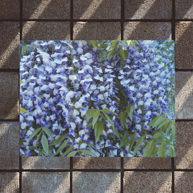 Paillasson Fleur de glycine à pendage pourpre (In Situ)