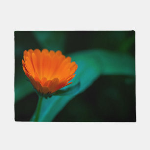 Paillasson Fleur de marguerite orange
