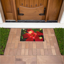 Fleur d'Hibiscus rouge au soleil