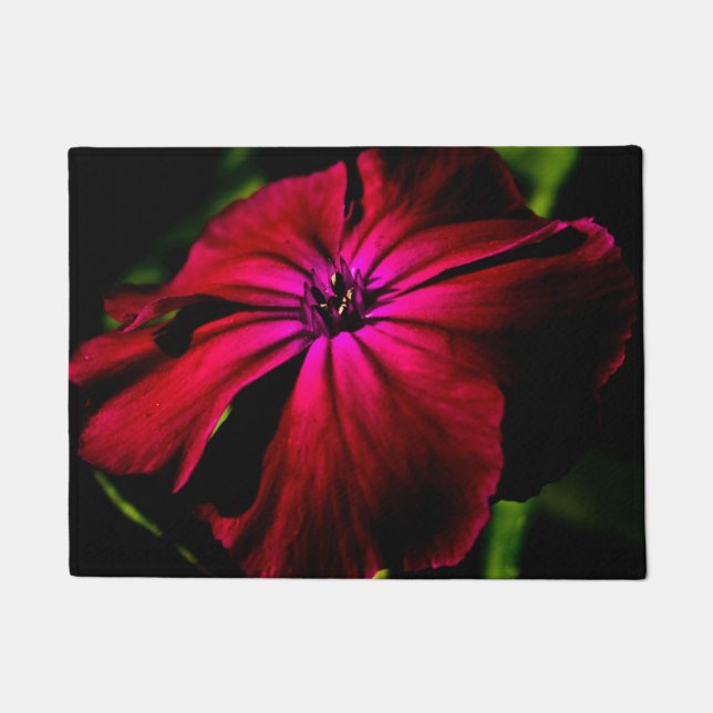 Paillasson Fleur sauvage violette dmcnm (Devant)