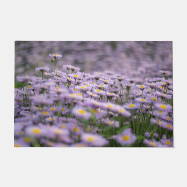 Paillasson Fleurs d'aster violet (Devant)