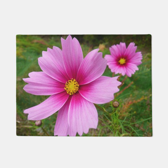 Paillasson Fleurs de Cosmos Rose Fleur Sauvage (Devant)