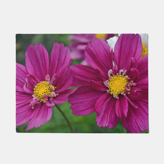 Paillasson Fleurs de zinnia pourpres (Devant)