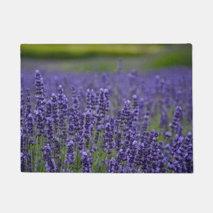 Paillasson Fleurs lavendar assez pourpres