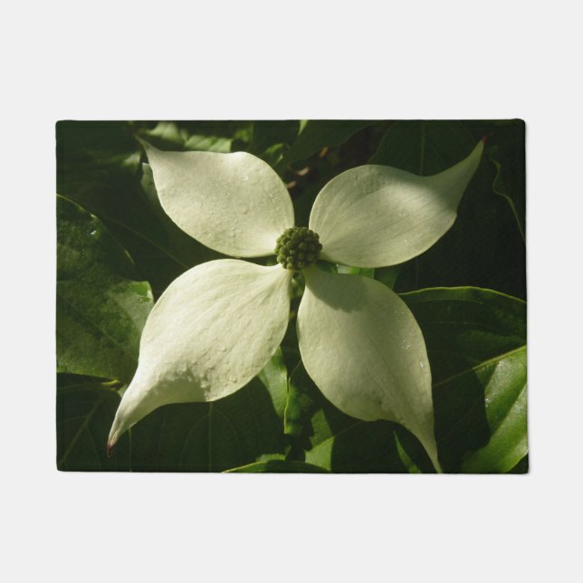 Paillasson Flore printanière du Dogwood illuminé (Devant)