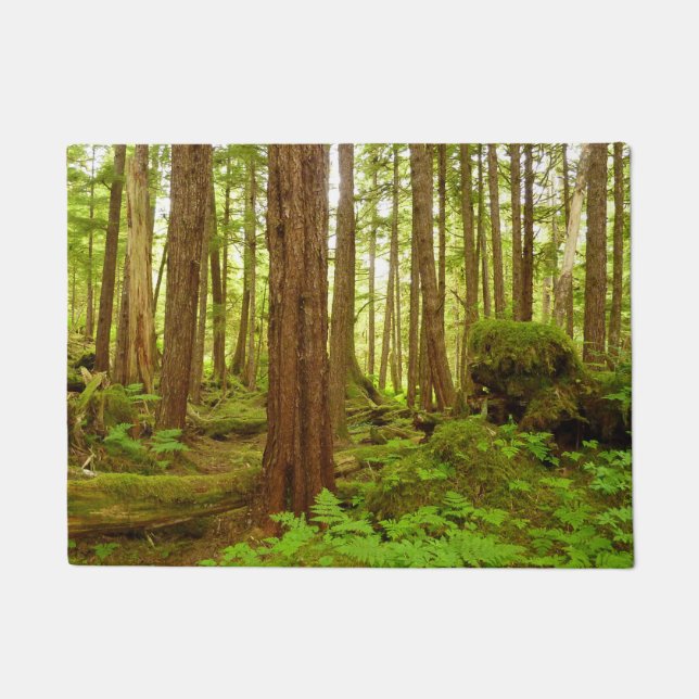 Paillasson Forêt pluviale tempérée d'Alaska (Devant)