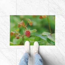 Fraises Sauvages Sur Photo Verte Avec Nom De Famil