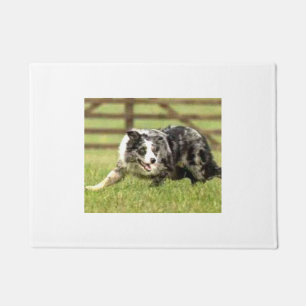 Paillasson Frontière bleue Collie~Joe~Doormat de Merle