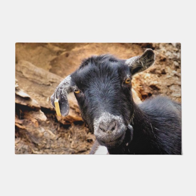 PAILLASSON GOAT (Devant)