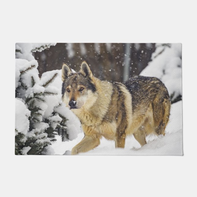 Paillasson Grand Loup sauvage gris dans la neige (Devant)