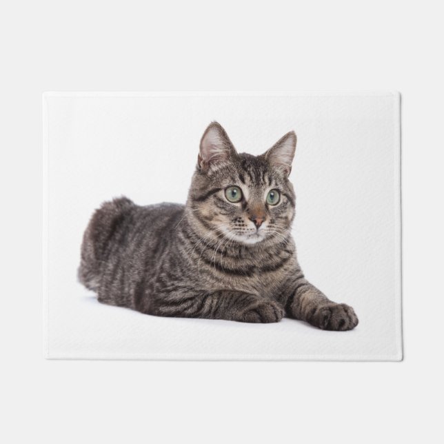 Paillasson Gray Tabby Cat (Devant)