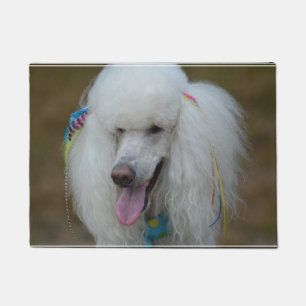 Paillasson Grimacerie du caniche standard blanc