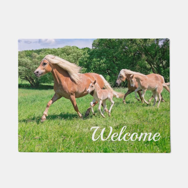 Paillasson Haflinger Horses Cute Foals Runny Photo - (Devant)