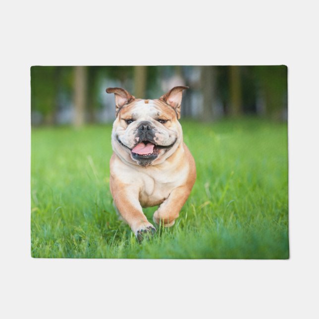 Paillasson Happy Bulldog Runmat (Devant)