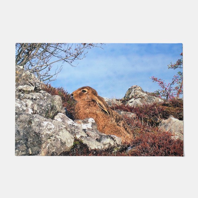 PAILLASSON HARE (Devant)