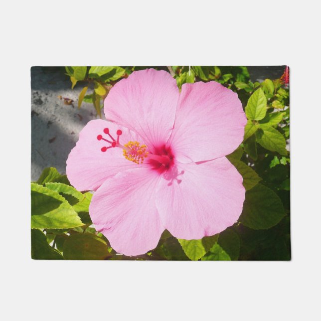 Paillasson Hibiscus rose Fleur tropicale (Devant)