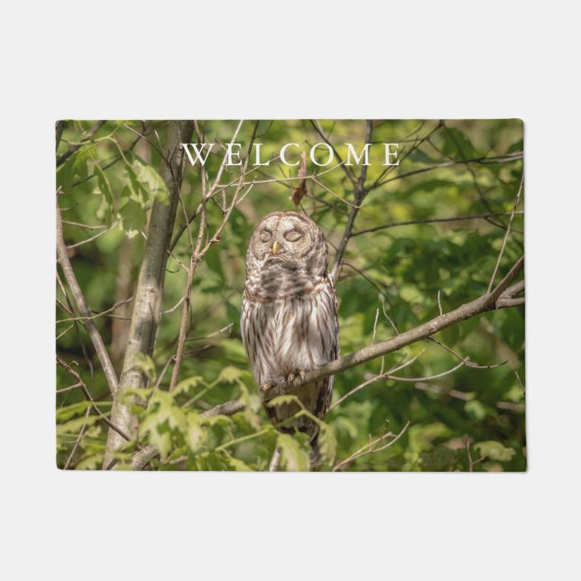 Paillasson Hibou barré somnolent (Devant)