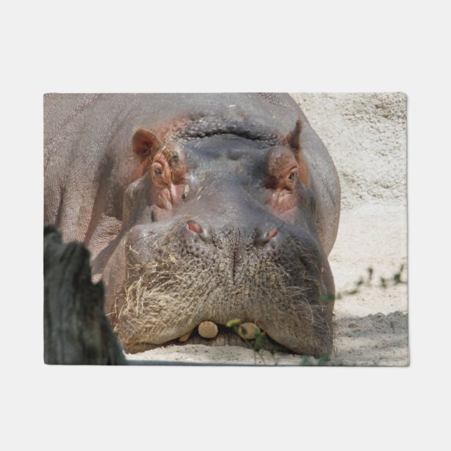 Paillasson Hippo_20171101_par_JAMFoto (Devant)