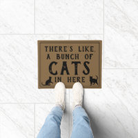 Il y a beaucoup de chats ici | Chat drôle