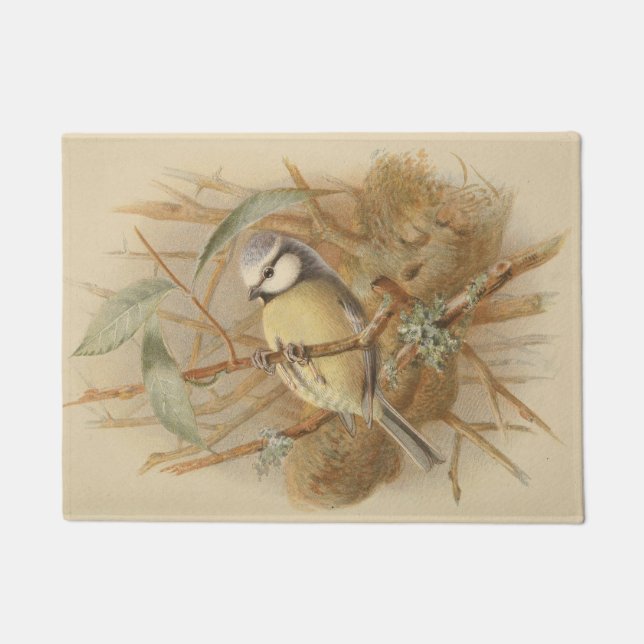 Paillasson Illustration vintage de mésange bleue (Devant)