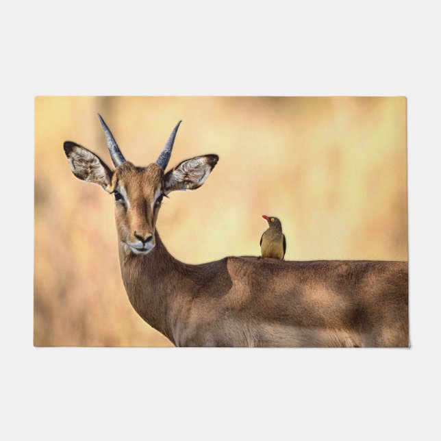 Paillasson Impala et Oiseau d'Oxpecker en Afrique (Devant)