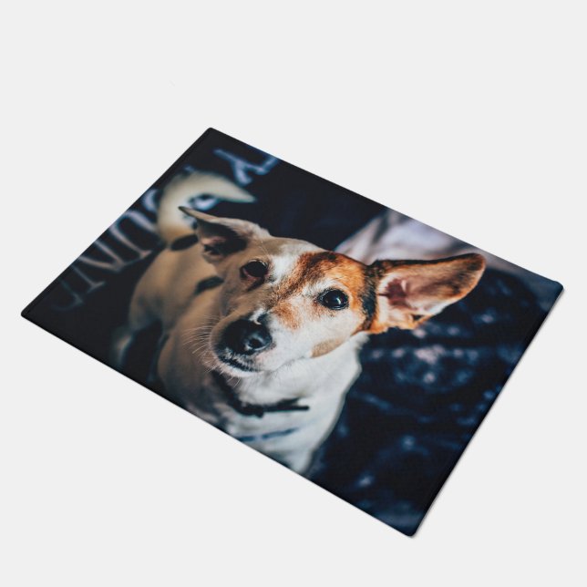 Paillasson Jack Russell Terrier Doormat (Incliné)