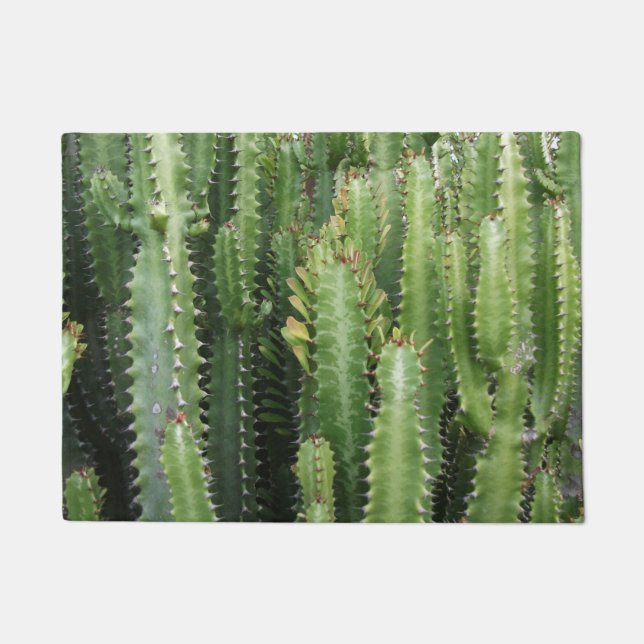Paillasson Jardin de cactus (Devant)