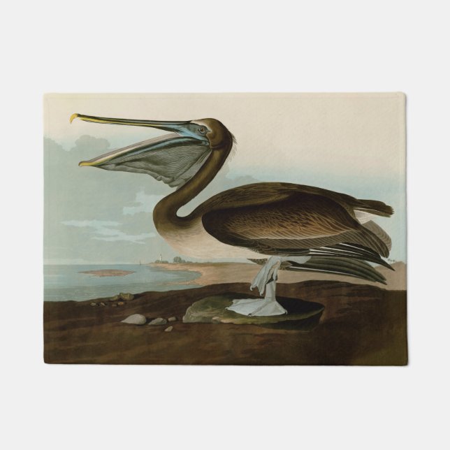 Paillasson John James Audubon Peinture Pélicane Brown (Devant)