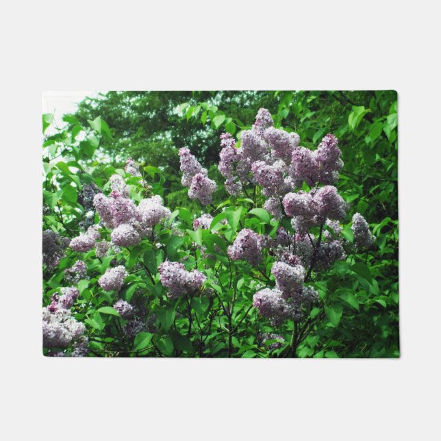 Paillasson Joli Lilac Bush (Devant)