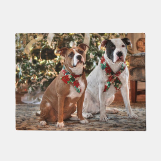 Paillasson Joli Secourt de Noël Pitbull et America Bull Dog (Devant)