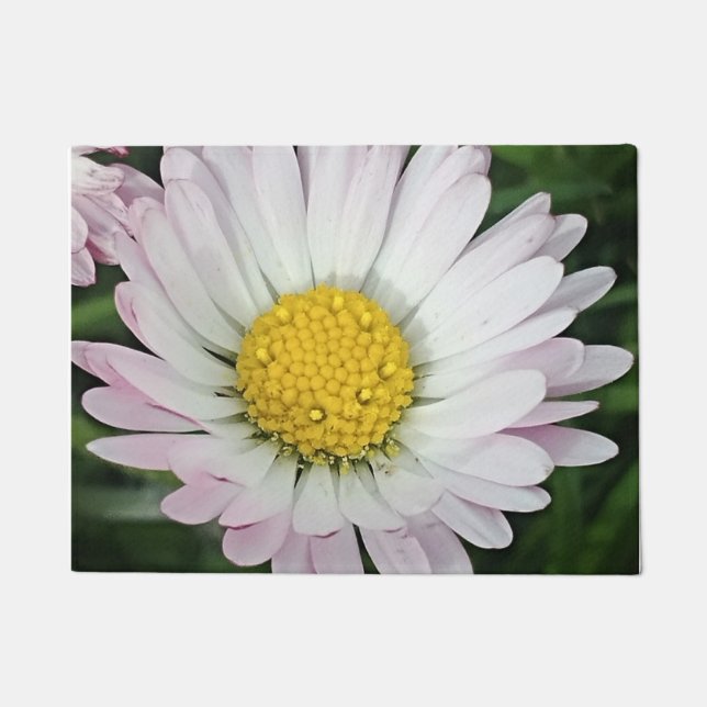 Paillasson Jolie marguerite (Devant)
