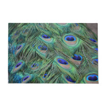 Jolies plumes de paon