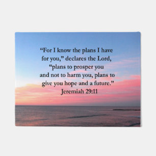 PAILLASSON JOYFUL JEREMIAH 29:11 SCELER